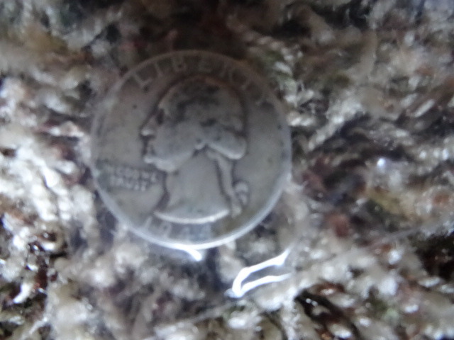 Washington Silver Quarter
