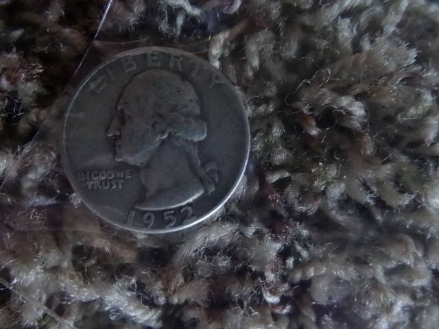 Washington Silver Quarter