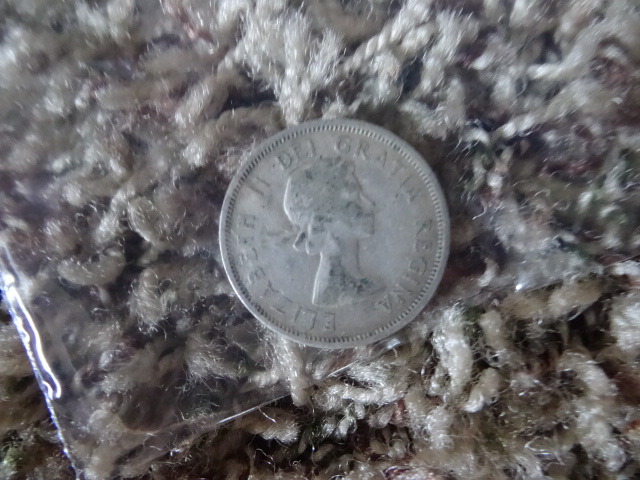Canadian Quarter