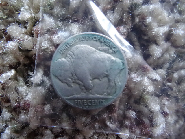 Buffalo nickel
