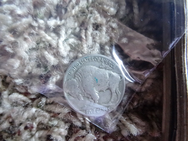 Buffalo nickel