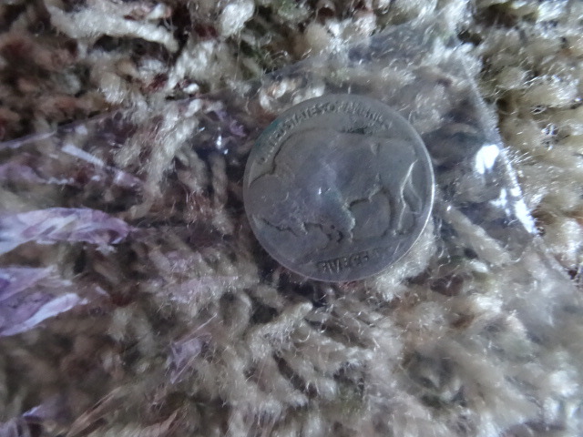 Buffalo nickel