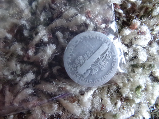 1929 Mercury dime