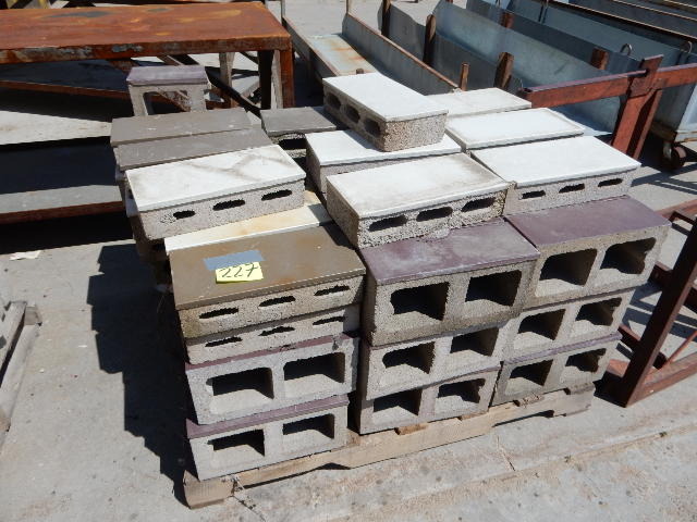 lot 227 image: Approx 60 Cinder Blocks with Ceramic type finish on one side