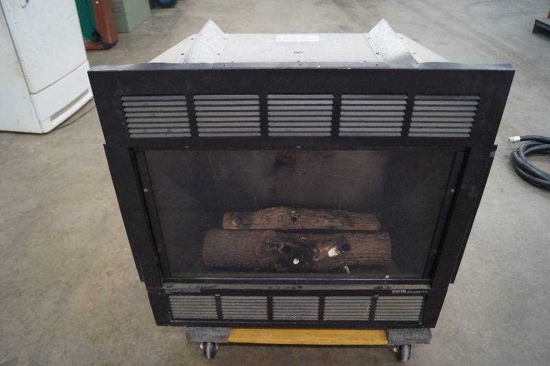 Fireplace Insert