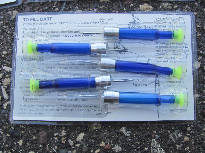 tranquilizer dart tranquilizer dart