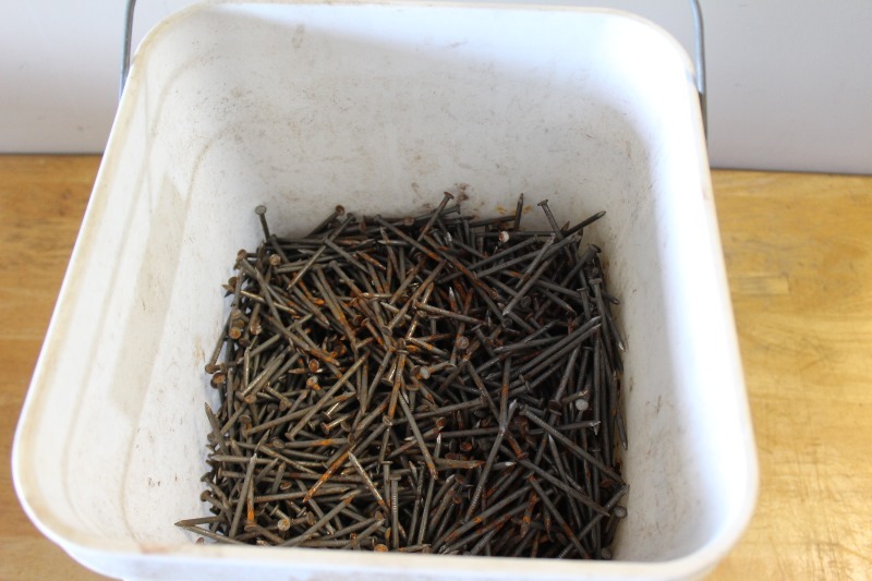 Buck of Nails