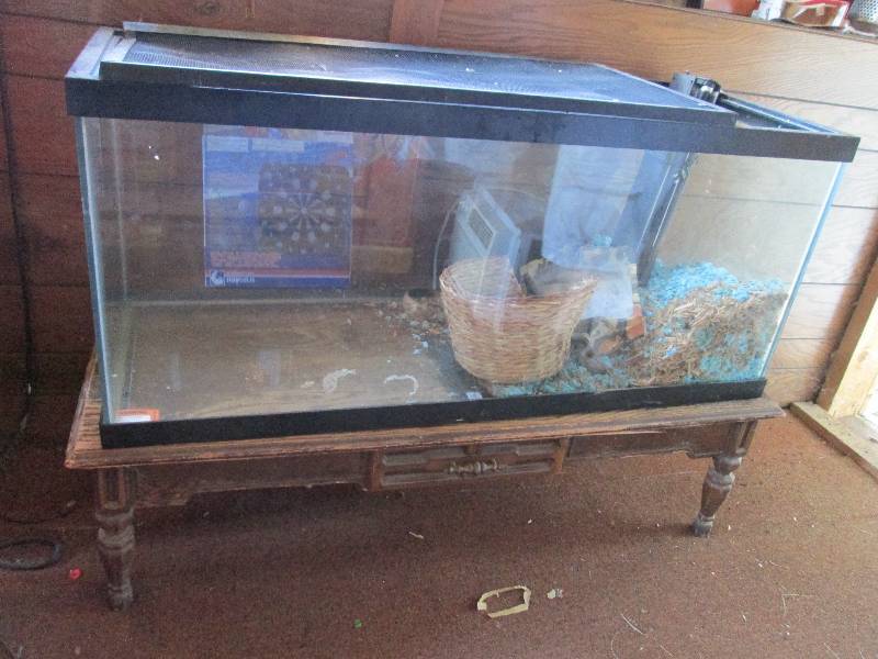 4 18 and 22 tall Glass fish or r...