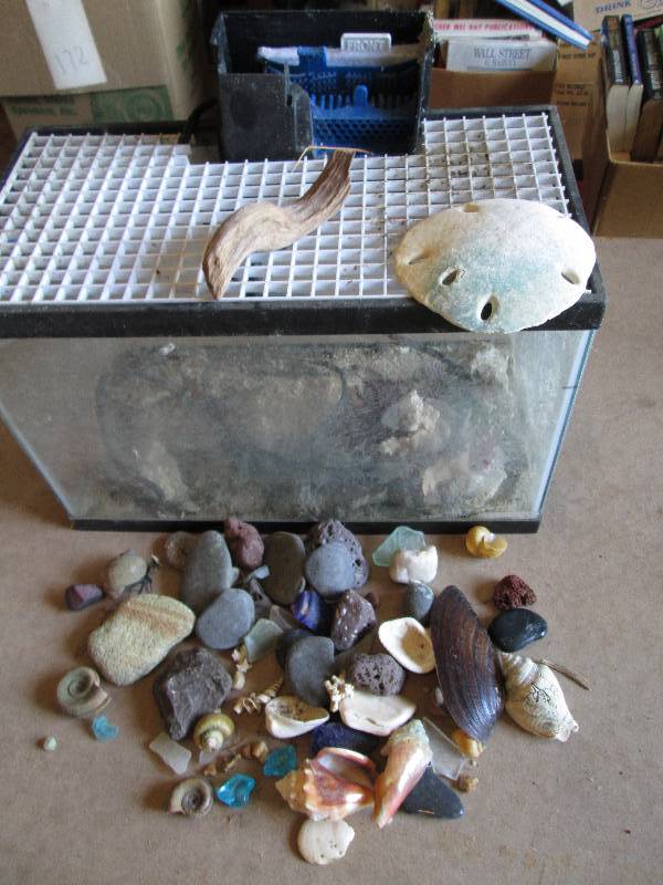 Fish tank full of fish supplies...