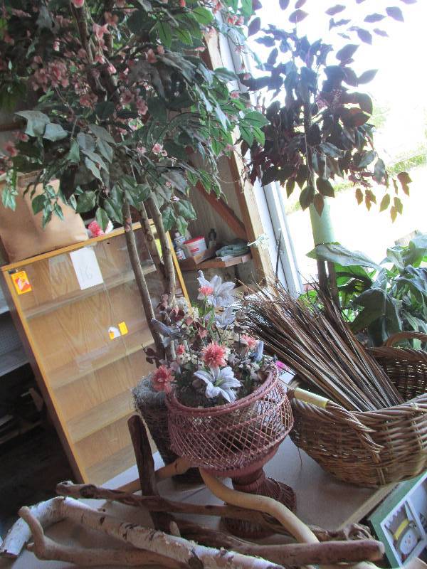 Lot of silk plants...