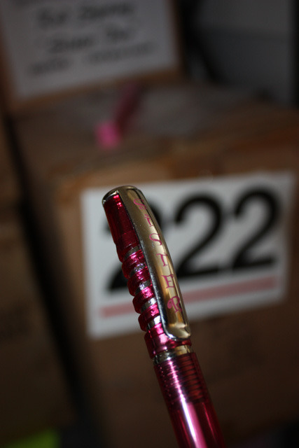 lot 222 image: Sisters Pen