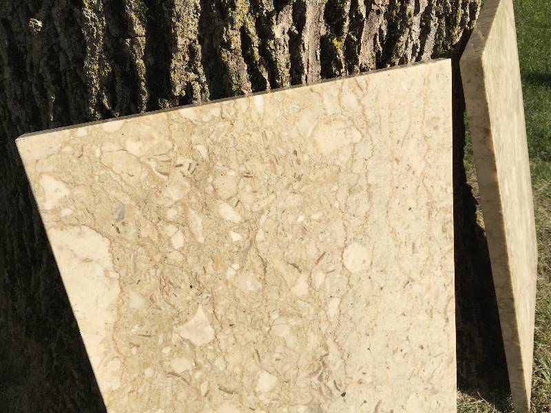 lot 37 image: 3 Large slabs of vintage marble some fossilized creatures can be seen