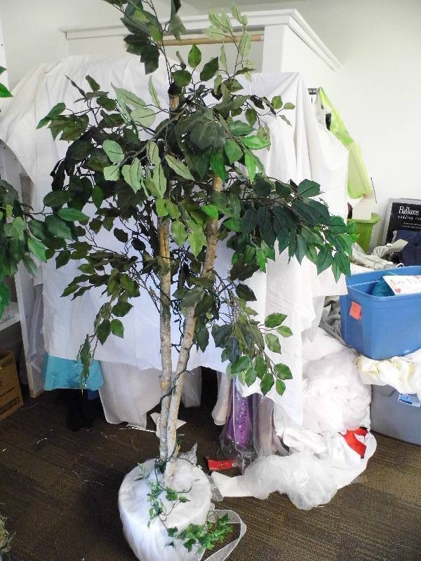 5 Lighted Ficus Tree