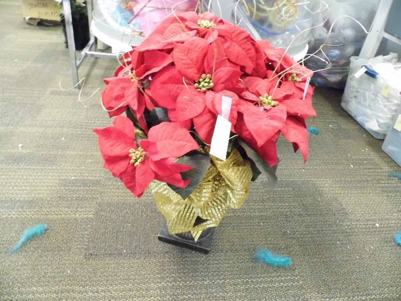 Poinsettas In Vase