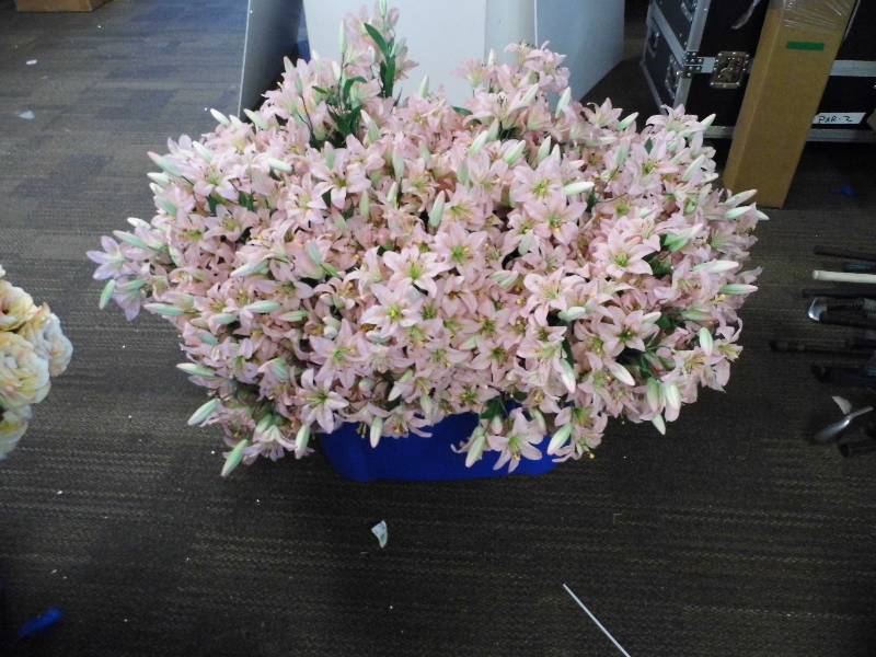 18 Gallon Tote of Assorted Flowers