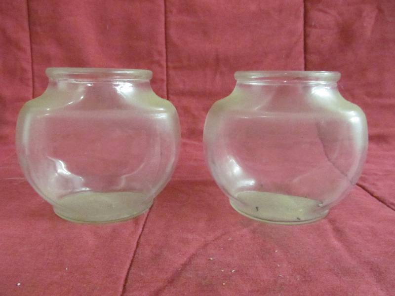 Fish Bowl