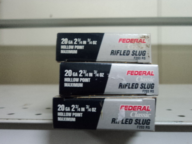20 ga slugs
