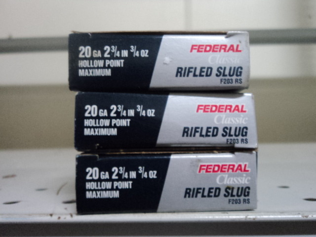 20 ga slugs