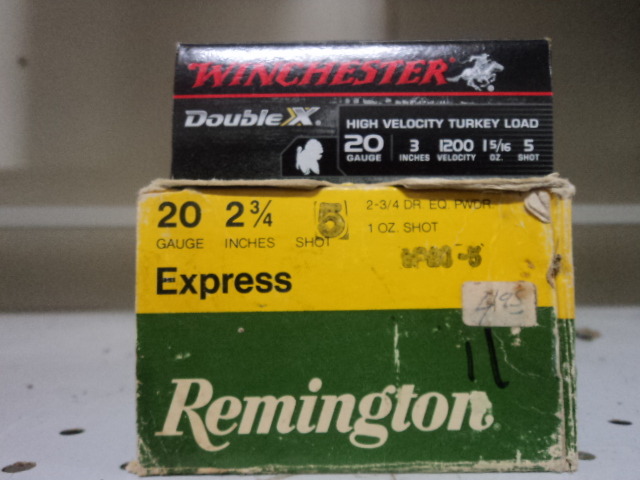 20 ga shells