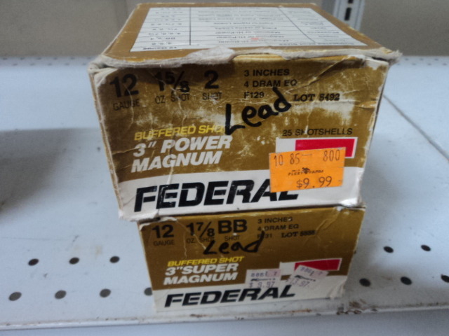12 ga shells