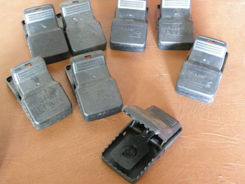 8 rat traps