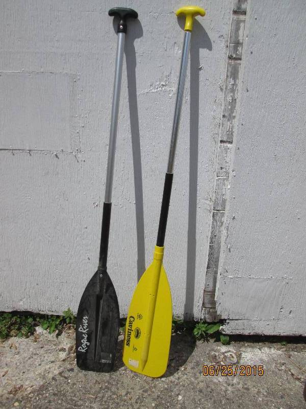 Pair of oars...