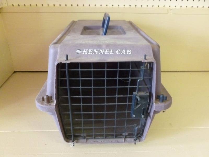 lot 99 image: Pet Porter