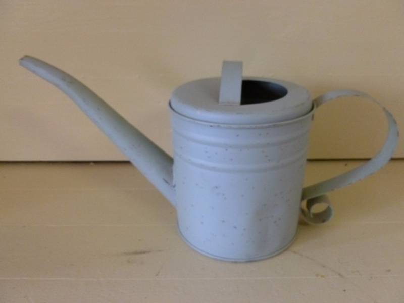 lot 135 image: Watering Can