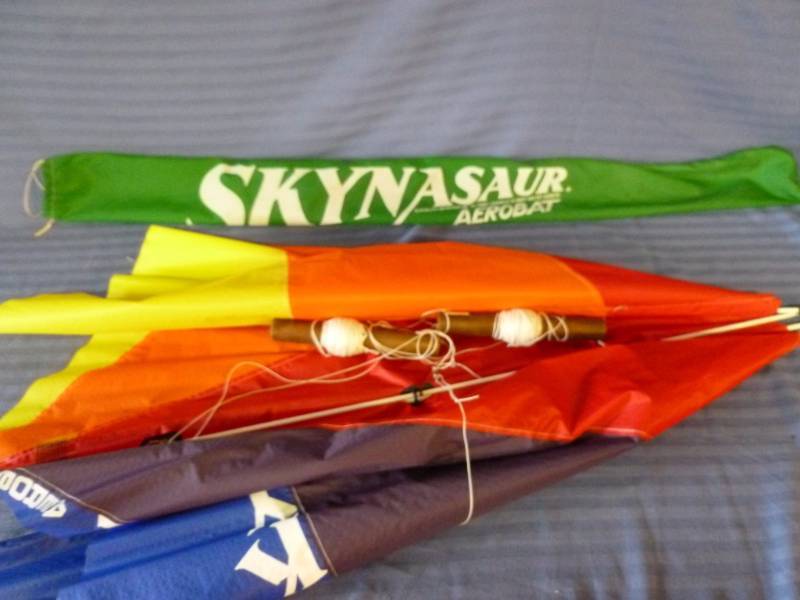 lot 166 image: Aerobat Kite