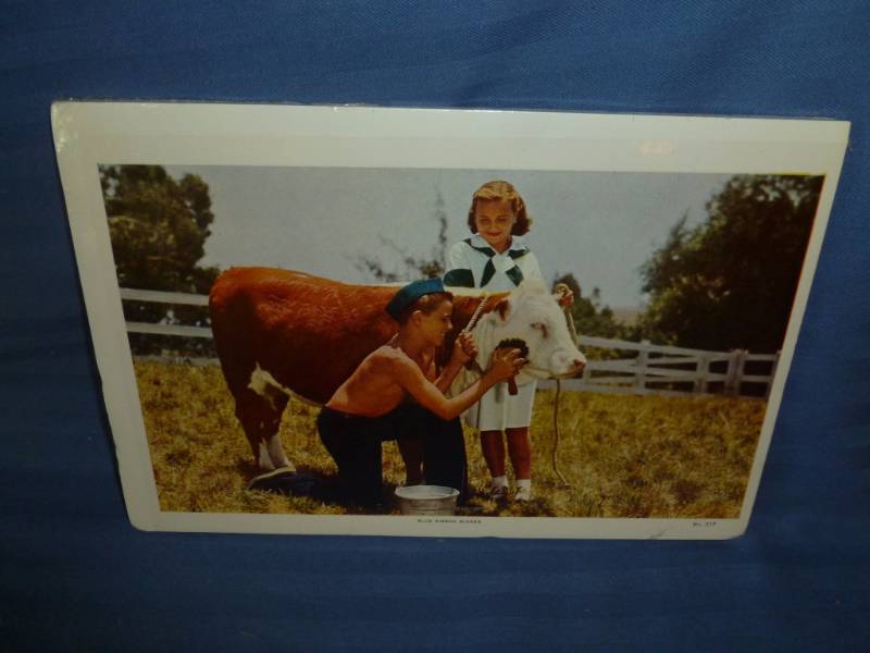 lot 185 image: Vintage Picture