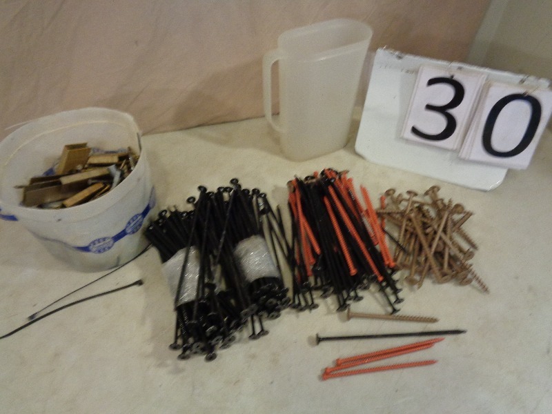 lot 30 image: 8 inch screws and assorted hardware