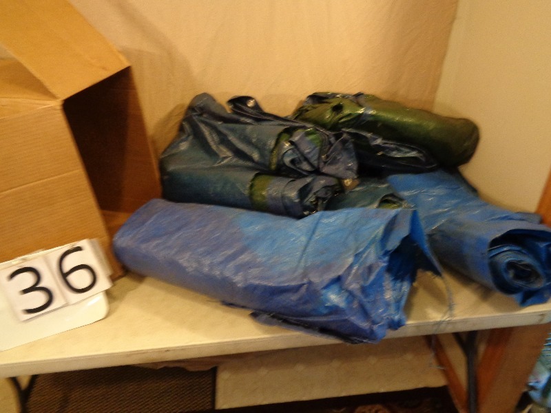 lot 36 image: 5 Assorted Tarps