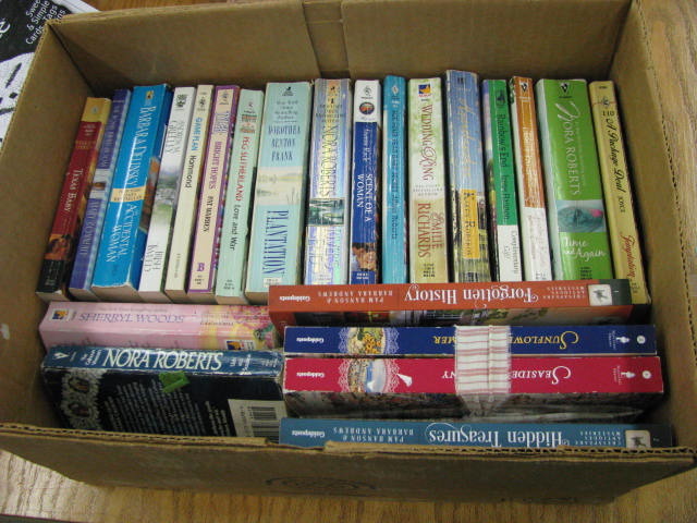 lot of paperback fiction