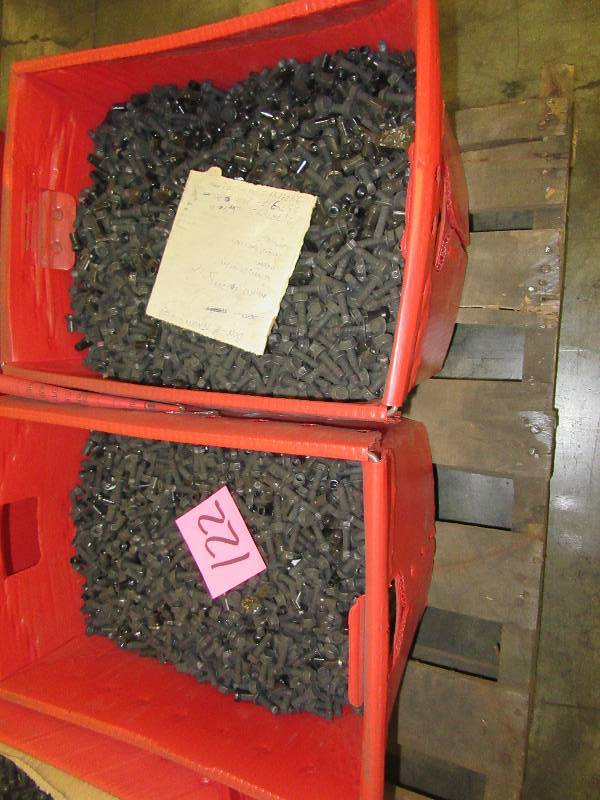 2 Boxes of Engine Bolts