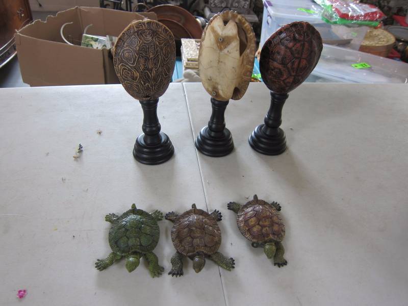 Decorative Turtle Accessories