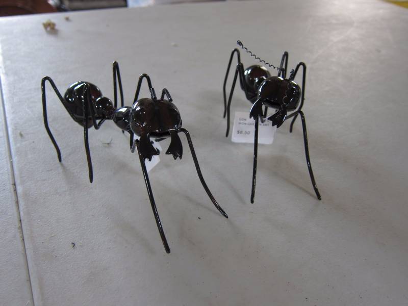 Decorative Garden Ants