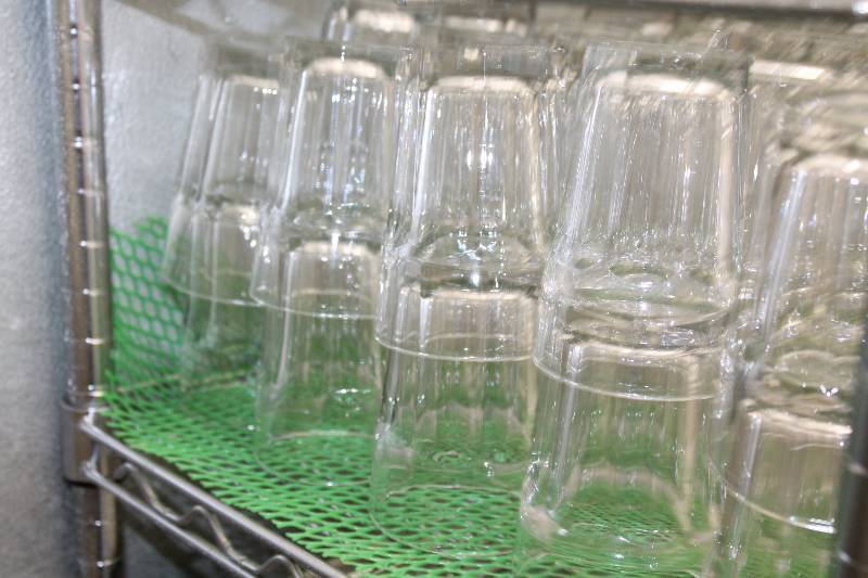 lot 523 image: Lot of (23) Water Glasses.
