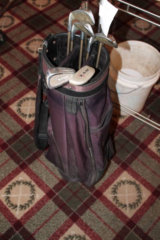 lot 385 image: Golf Club Lot Including Golf Bag AMF Driver Select Model Pro Design 5 Driver And More.