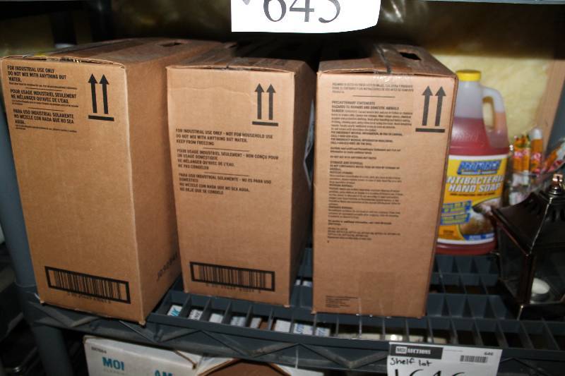 lot 645 image: Shelf Lot Including Box of Keystone Sanitizer (3) Cleaning Liquid Decorative Candle Holders And More.