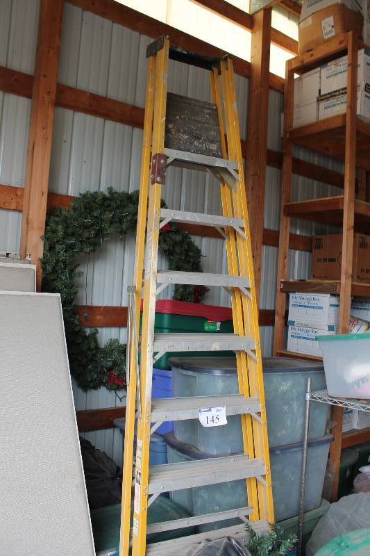 lot 145 image: 10 Ladder.