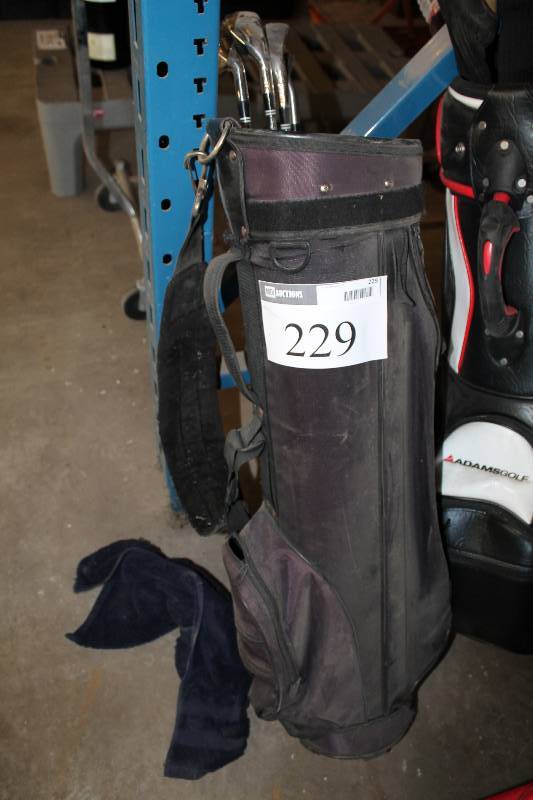 lot 229 image: Golf Bag wGolf Irons (3).