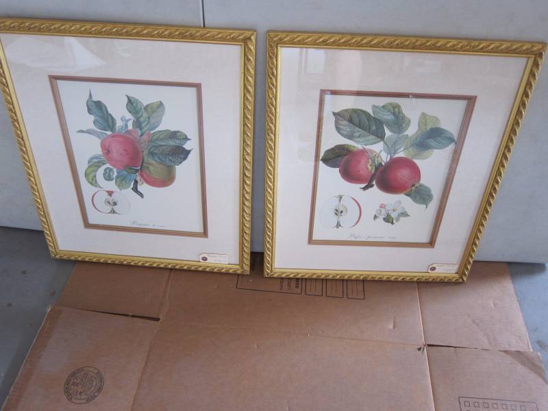 Framed Art