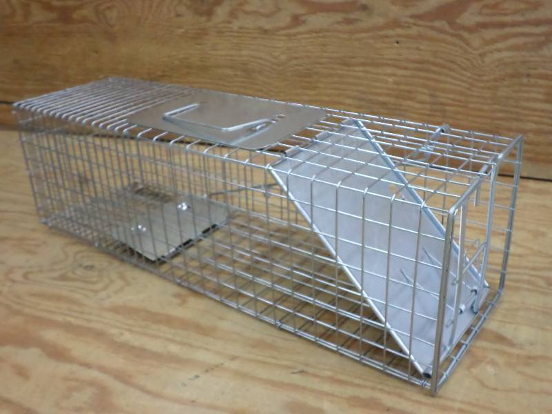 ChipmunkRodent Live Trap ...