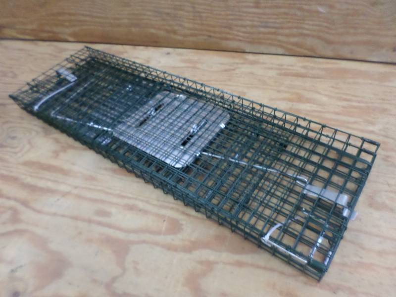 ChipmunkRodent Live Trap--Unassemb...