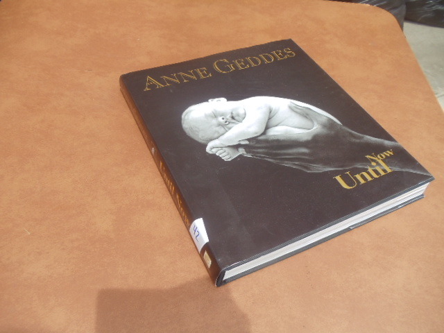 lot 42 image: Anne Geddes Book