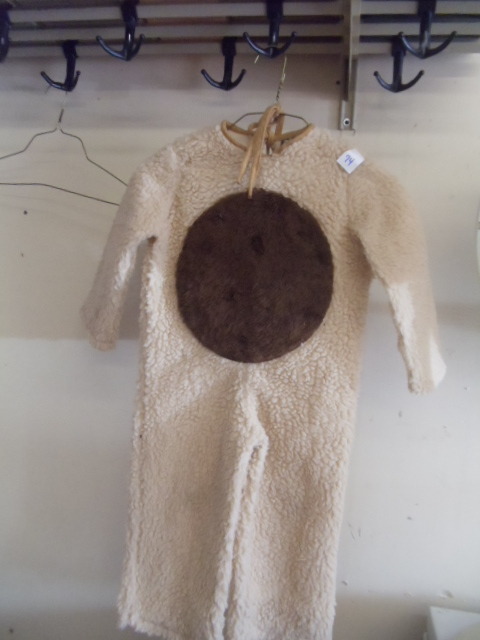 lot 74 image: Halloween Costume