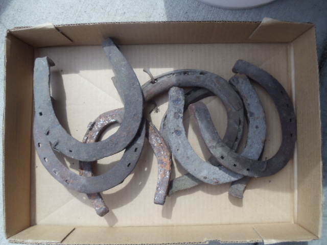 lot 115 image: Horse Shoes