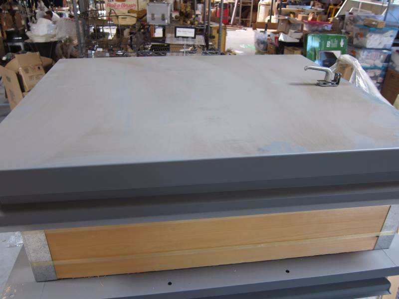Roof Access Panel