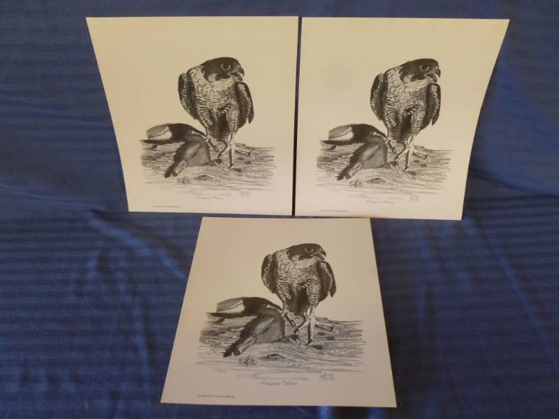 lot 50 image: Dick Miller Prints