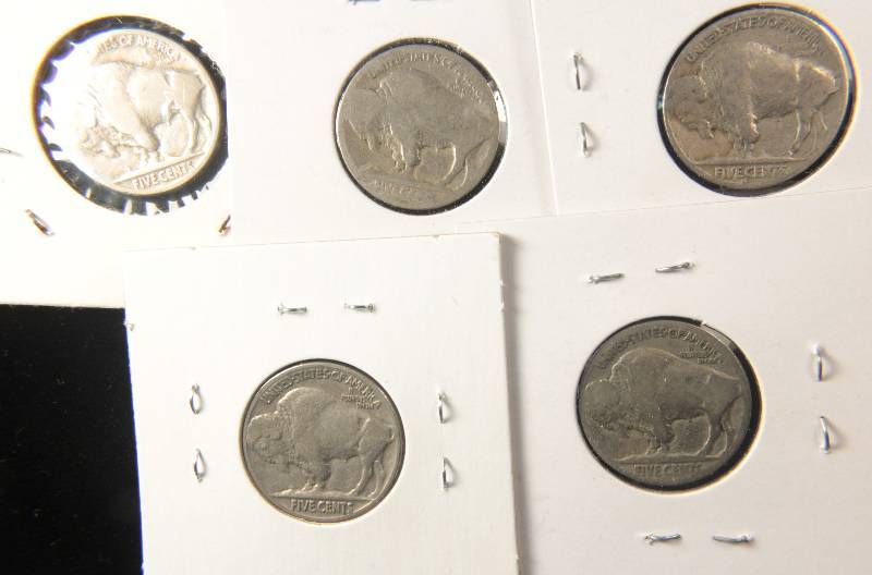 GROUP OF 5 BUFFALO NICKELS AS PICTURED